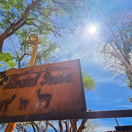 Hostal Perita サン・ペドロ・デ・アタカマ エクステリア 写真
